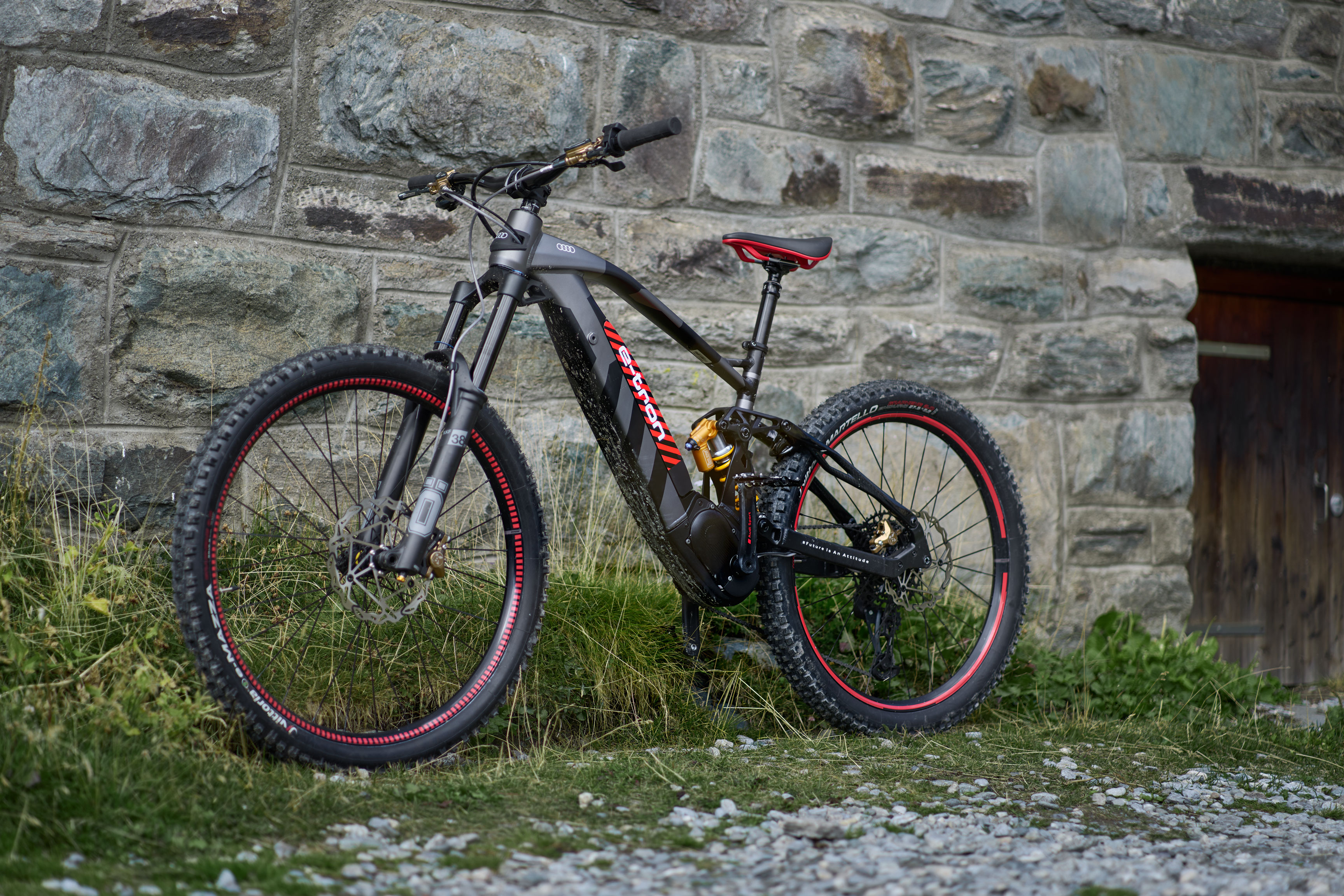 Audi fat bike on sale