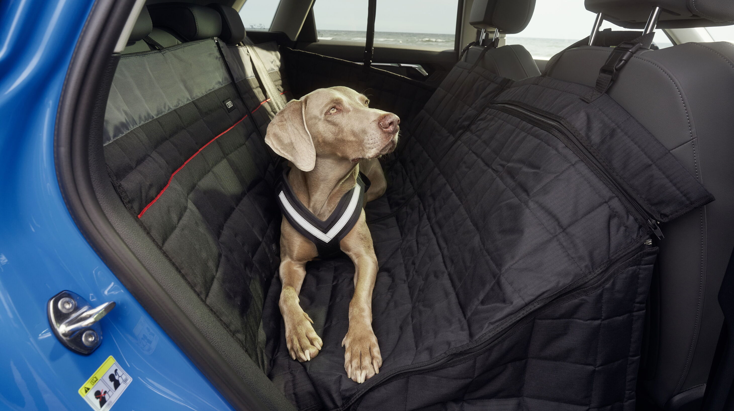 Kofferraumausbau für Hunde - Audi A3