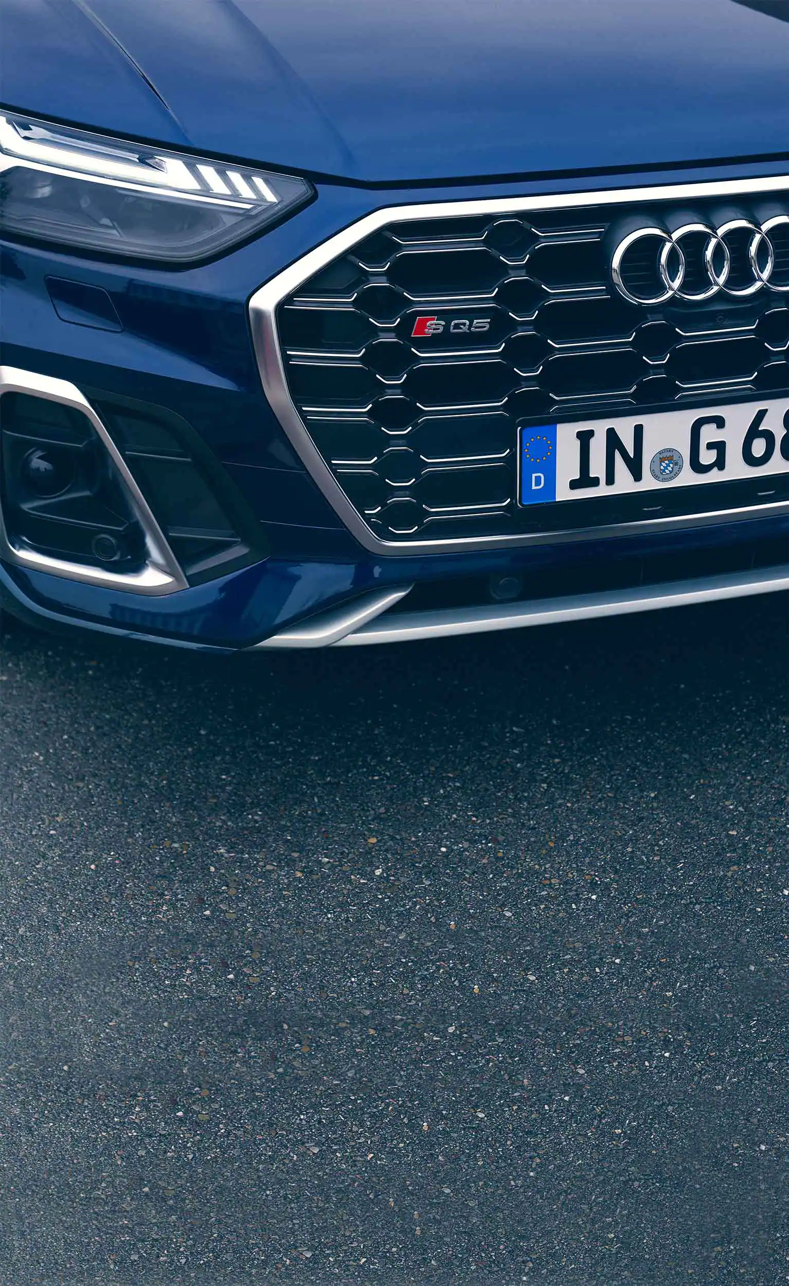 Audi SQ5 TDI Kühlergrill
